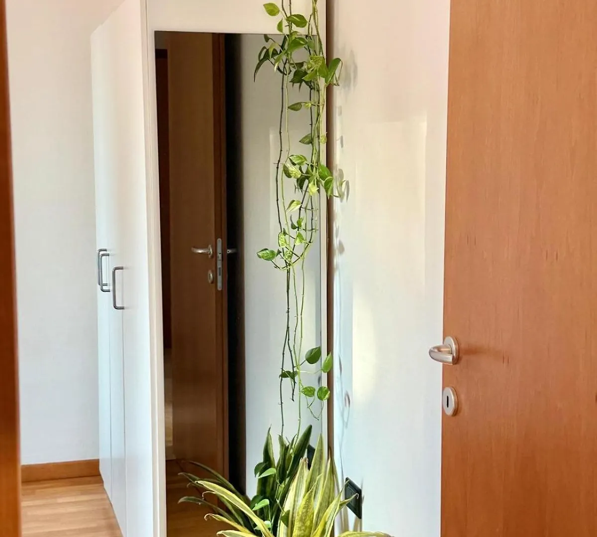 Enjoy Home - Appartamento Ampio, Luminoso E Immerso Nel Verde Padova
